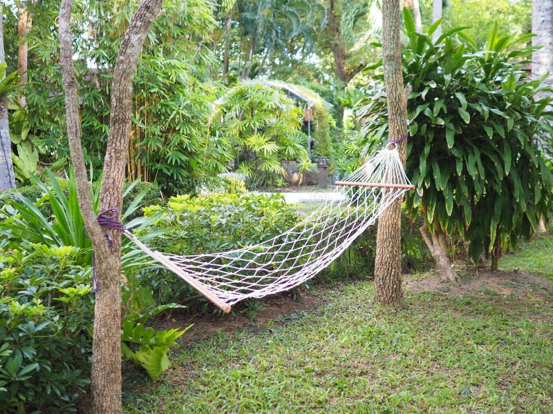 Net Bed Hanging among the Trees Stock Photo - Image of beautiful