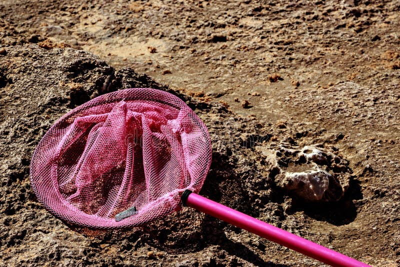 288 Children Fishing Net Sea Stock Photos - Free & Royalty-Free