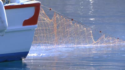 A Net Off is Thrown into the Sea from a Small Fishing Boat Stock Footage -  Video of roller, coast: 240032556