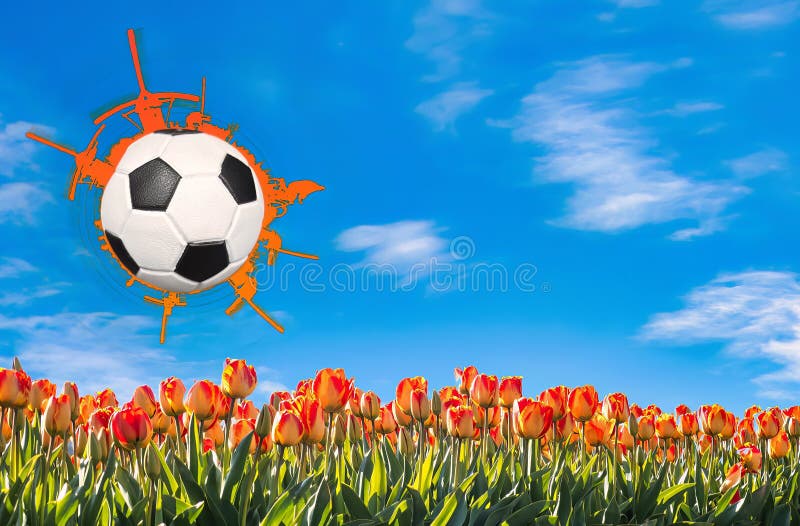 National Dutch Football Logo Editorial Photo - Illustration of available,  soccer: 134093891