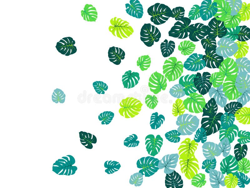Nette Dschungelbetriebstropisches Laubmuster Blumengraphiken mit monstera Bl?ttern auf Wei? stock abbildung Nette Dschungelbetriebstropisches Laubmuster Blumengraphiken mit monstera Bl?ttern auf Wei? stock abbildung