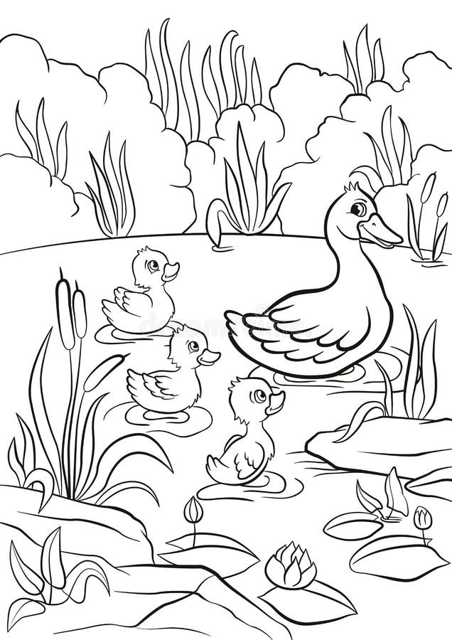 Nette Ente und freie kleine nette Entlein schwimmen auf dem See stock abbildung