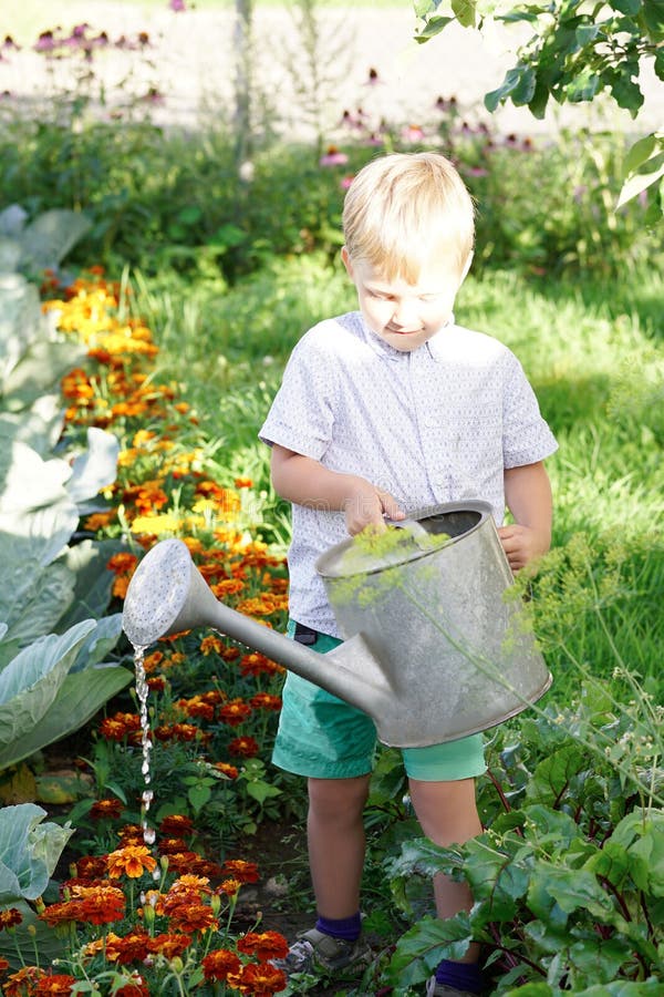 Nette Kleinkindjungen-Bewässerungsanlagen im Garten am sonnigen Tag des Sommers lizenzfreie stockfotografie Nette Kleinkindjungen-Bewässerungsanlagen im Garten am sonnigen Tag des Sommers lizenzfreie stockfotografie