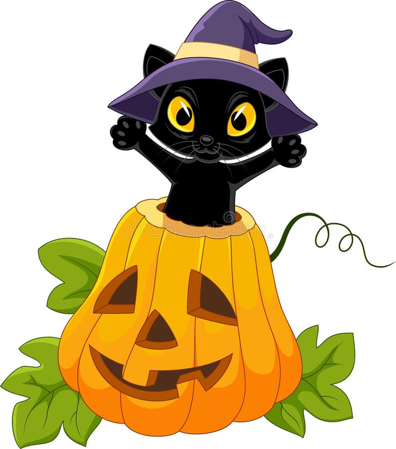 Nette schwarze Katze mit Halloween-Kürbis