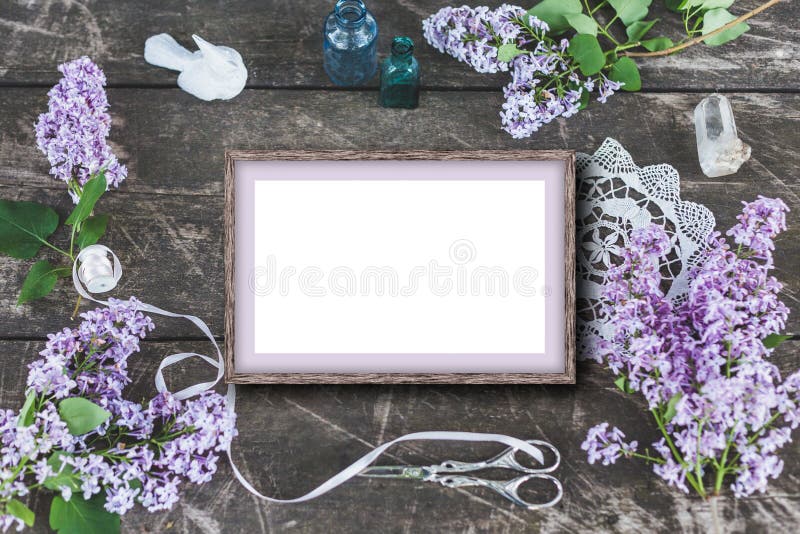 Nette und stilvolle Brandingmodellfoto-Espritflieder lizenzfreie stockfotografie Nette und stilvolle Brandingmodellfoto-Espritflieder lizenzfreie stockfotografie