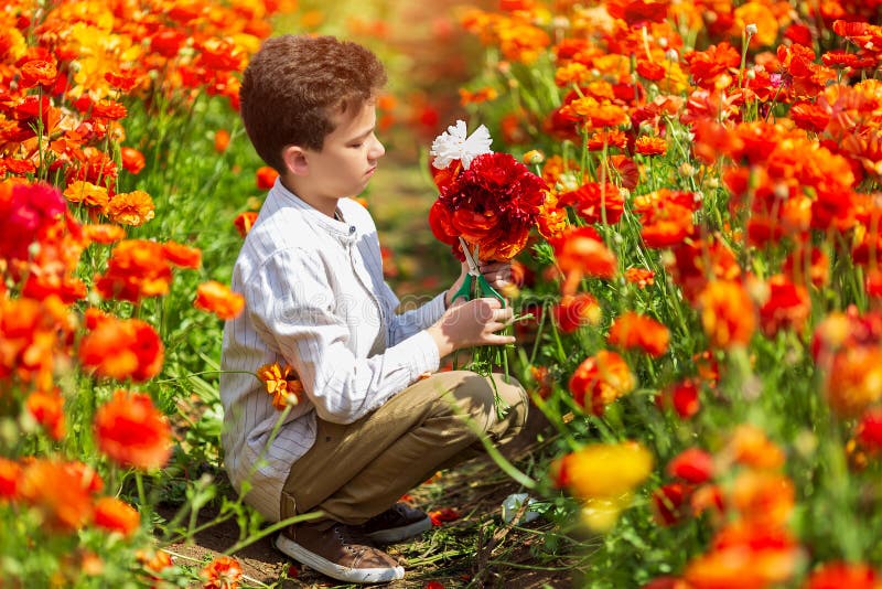 Netter kleiner Junge, der in einem Fr?hlingsgarten, ein Kind sich k?mmert um bunten Chrysanthemenbutterblumeen arbeitet lizenzfreie stockfotografie Netter kleiner Junge, der in einem Fr?hlingsgarten, ein Kind sich k?mmert um bunten Chrysanthemenbutterblumeen arbeitet lizenzfreie stockfotografie