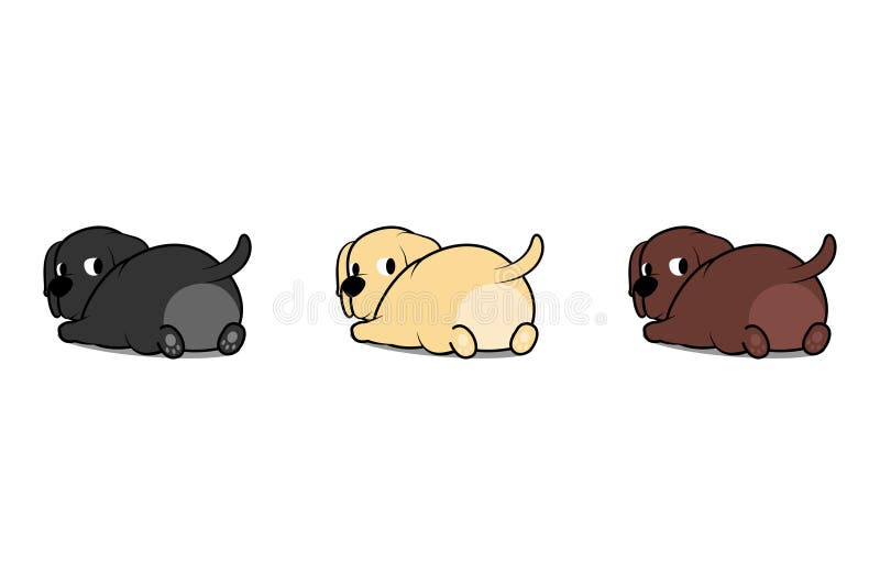 Netter labrador retriever-Welpe, der sich hinlegt und zurück schaut vektor abbildung