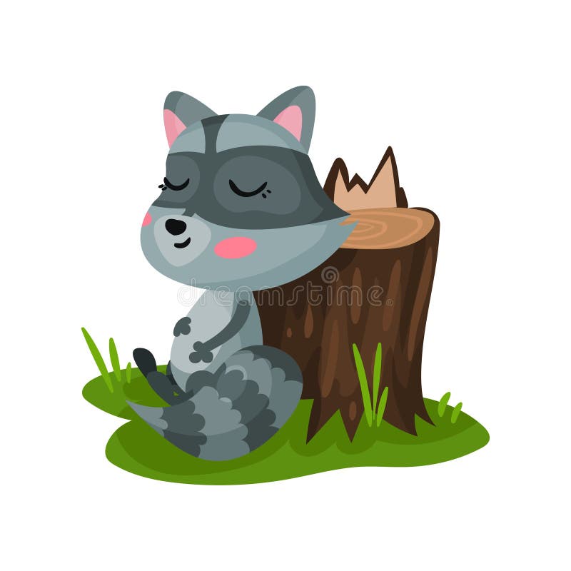 Netter Waschbär, der auf grünem Gras nahe Baumstumpf sitzt und seinen Bauch streicht Wildes Waldtier Flacher Vektor für Kinder stock abbildung