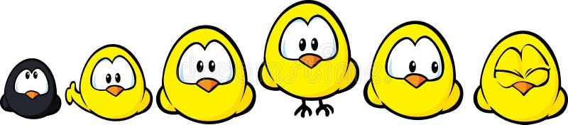 Nettes Huhn in rohem lizenzfreie abbildung Nettes Huhn in rohem lizenzfreie abbildung