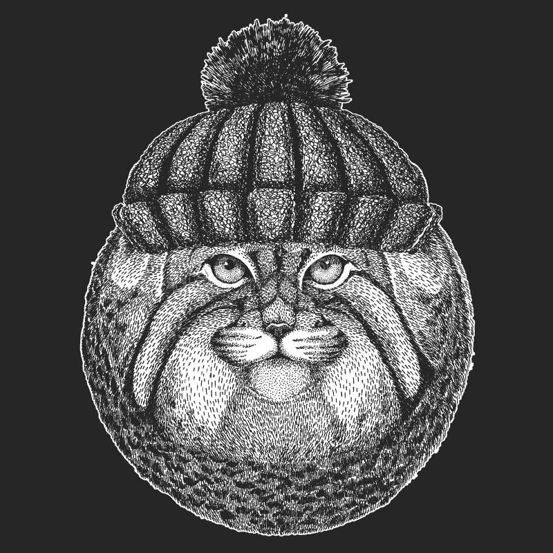 Nettes Tier, das gestricktes gezeichnetes Bild Winterhut Wildkatze Manul Hand für Tätowierung, Emblem, Ausweis, Logo, Flecken trä lizenzfreie abbildung Nettes Tier, das gestricktes gezeichnetes Bild Winterhut Wildkatze Manul Hand für Tätowierung, Emblem, Ausweis, Logo, Flecken trä lizenzfreie abbildung
