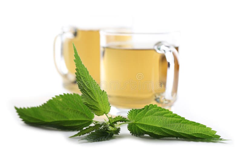 Nettle tea royalty free stock image