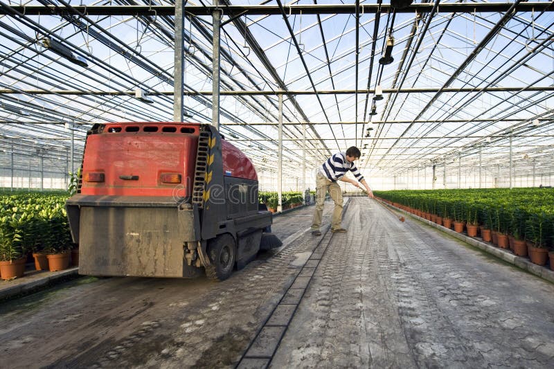 A man sweeping the concrete floor of a huge glasshouse. A man sweeping the concrete floor of a huge glasshouse