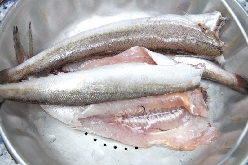Nettoyez les poissons crus images stock Nettoyez les poissons crus images stock