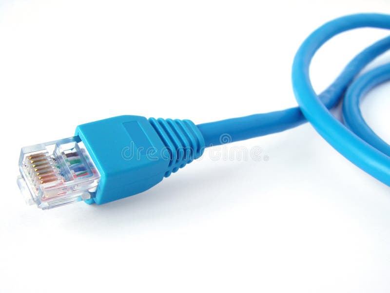 Network cable