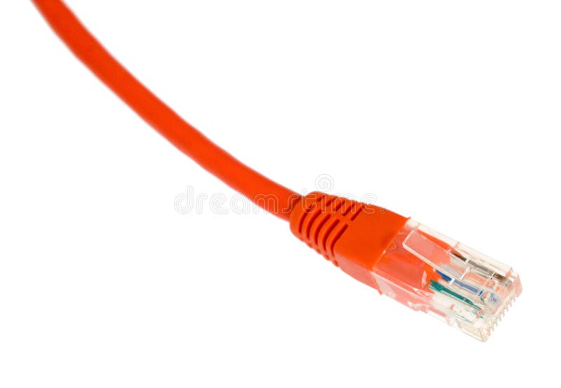 Network cable isolated royalty free stock image