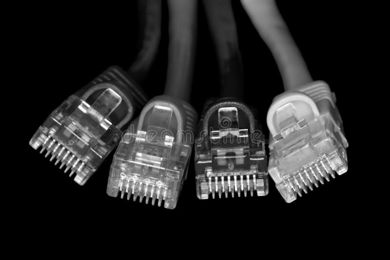 Network Cables B&W royalty free stock photo
