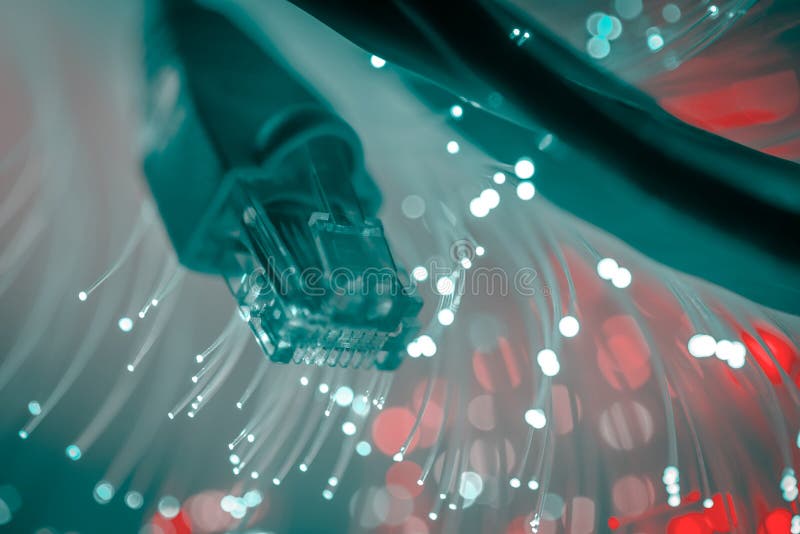 Network cables closeup with fiber optic. royalty free stock photos Network cables closeup with fiber optic. royalty free stock photos
