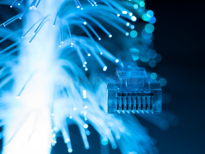 Network cables. royalty free stock images Network cables. royalty free stock images