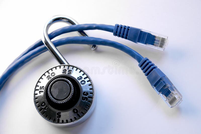 Network Cables With Lock royalty free stock photo