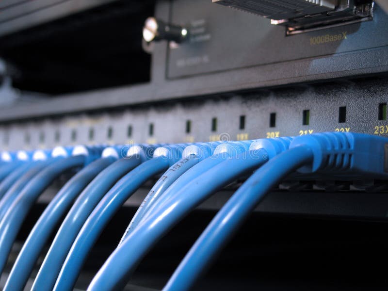 Network Cables Row royalty free stock image