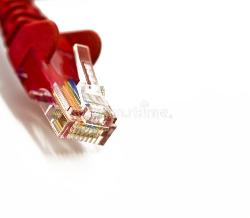 Network plug on white royalty free stock photo