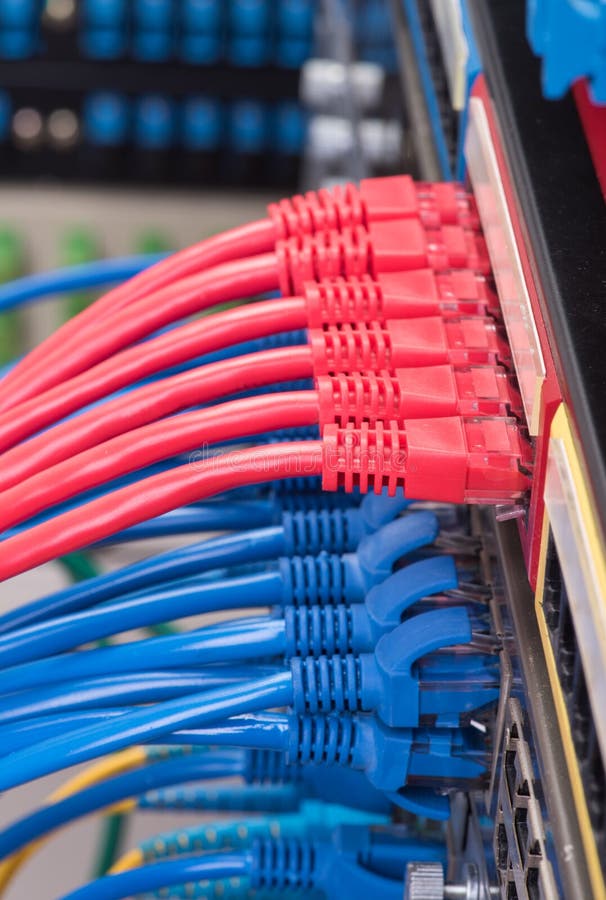 Network switch and ethernet cables stock images