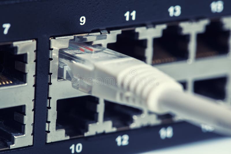 Closeup of network switch and UTP ethernet cables