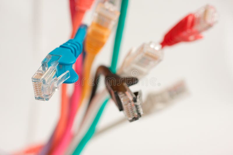 Multiple vertical Cat5 networking cables on white background