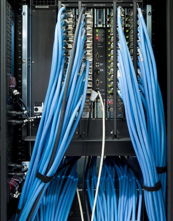Networking switches in a datacenter