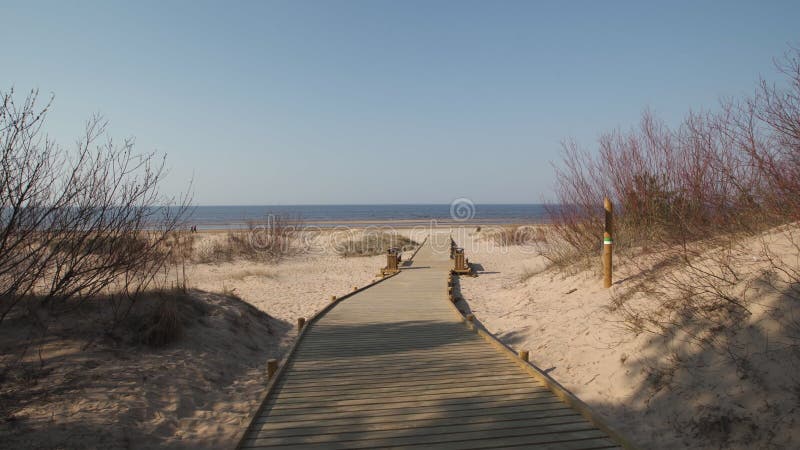 Neue h?lzerne Stra?e, die vom Strandd?nenwald mit den Kiefern und Wei? geschickt zum Ostseegolf - Vecaki, Lettland f?hrt