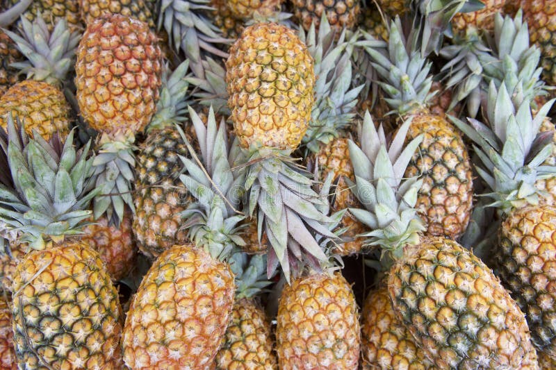 Neuer ganzer Ananas-Obstbauer-Markt stockfotos Neuer ganzer Ananas-Obstbauer-Markt stockfotos