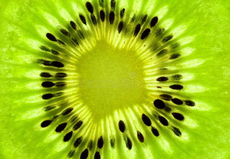 Neuer Kiwihintergrund/-SuperMacro/-rückseitiges beleuchtet stockfotos Neuer Kiwihintergrund/-SuperMacro/-rückseitiges beleuchtet stockfotos