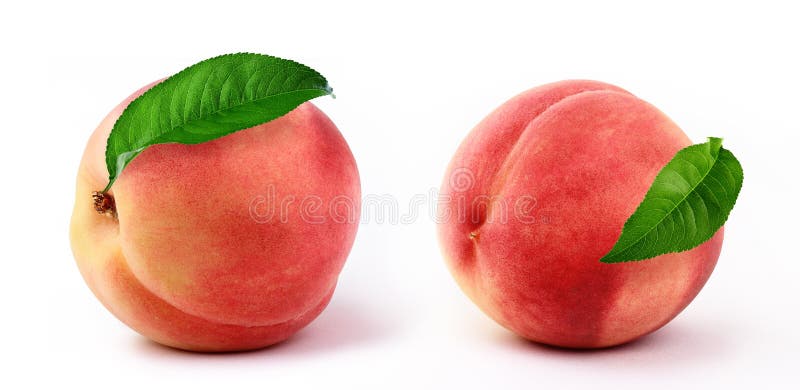 Neuer Pfirsichweißhintergrund lizenzfreies stockfoto Neuer Pfirsichweißhintergrund lizenzfreies stockfoto