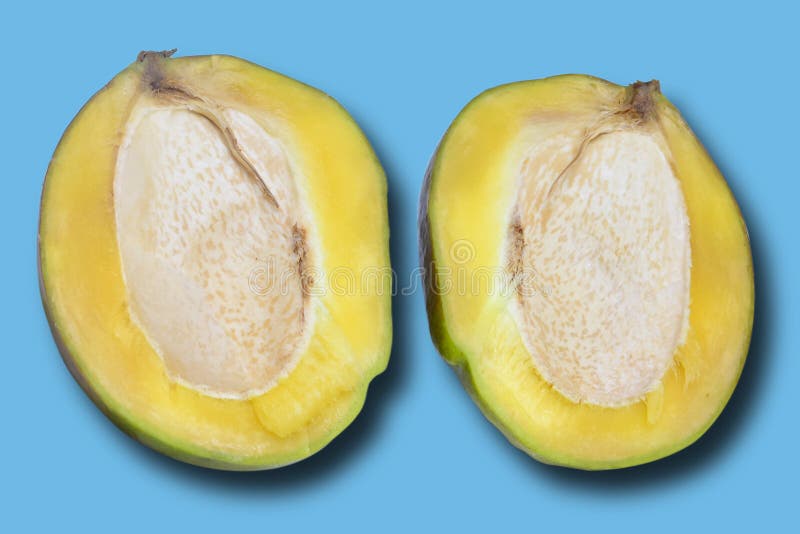 Neuer, reifer Mangoschnitt in zwei Frucht wird auf einem blauen Hintergrund lokalisiert Konzept: gesundes Lebensmittel lizenzfreie stockbilder Neuer, reifer Mangoschnitt in zwei Frucht wird auf einem blauen Hintergrund lokalisiert Konzept: gesundes Lebensmittel lizenzfreie stockbilder