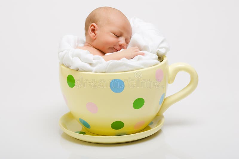Neugeboren im gelben Cup stockbild Neugeboren im gelben Cup stockbild