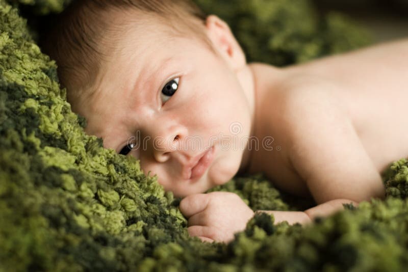 Neugeborenes Schätzchen auf einer reichen grünen Decke