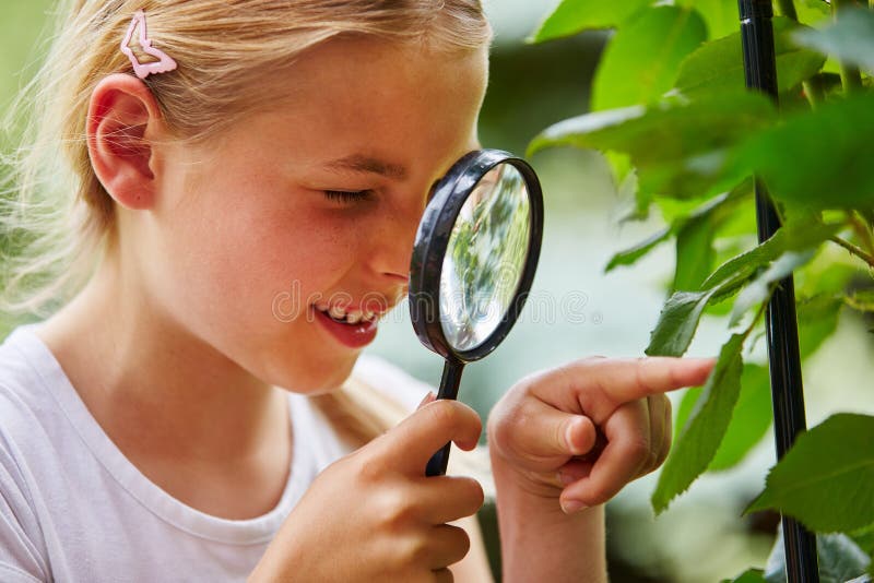 Curious child explores nature and looks at leaf with loupe. Curious child explores nature and looks at leaf with loupe