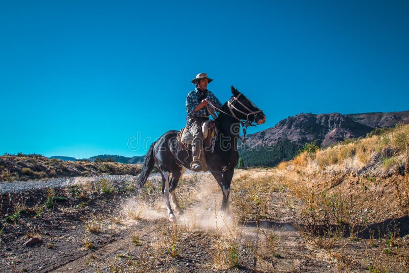 Argentina Gaucho Em Cavalo Usando Telefone Celular Imagem de Stock - Imagem  de chapéu, festa: 222666767