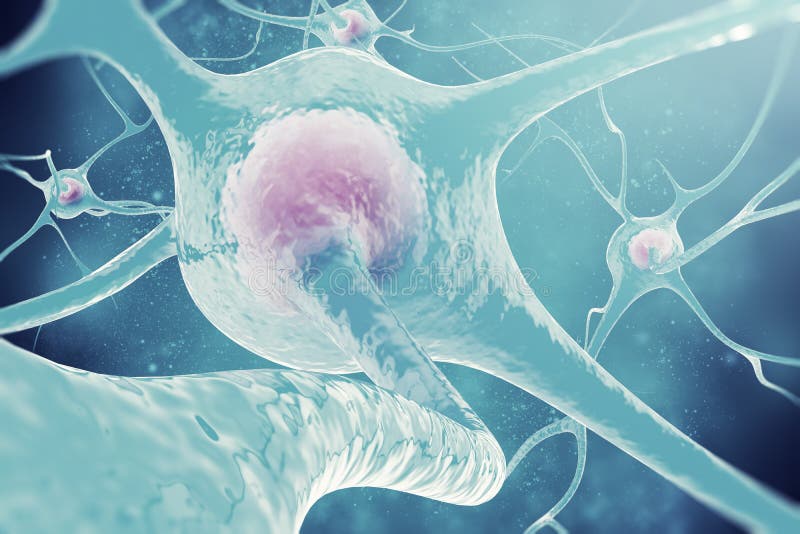 Neurons of the nervous system 3d illustration of nerve cells. Neurons of the nervous system 3d illustration of nerve cells
