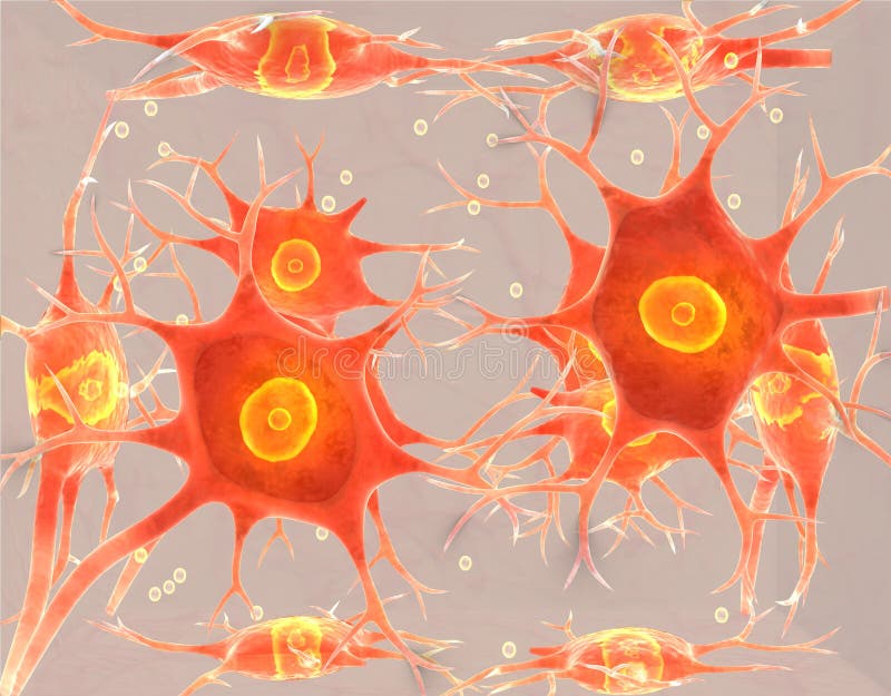 Neural Tissue. Stock Illustration Image 50029396