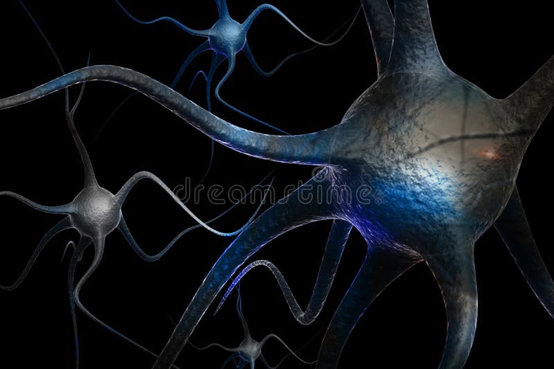 Neuron stock illustration