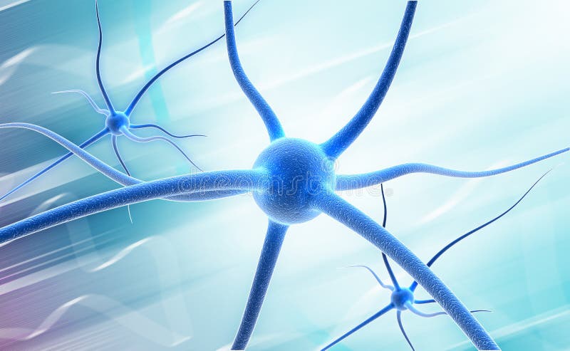 Neuron stock illustration