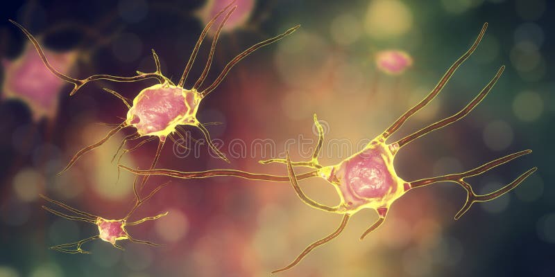 Neuron brain cell, neural network, 3D illustration. Human nervous system. Neuron brain cell, neural network, 3D illustration. Human nervous system