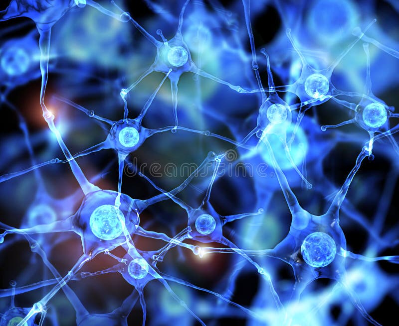 Neuron. Node and Node Connector in the Brain Networks Stock Illustration -  Illustration of macro, multipolar: 154461244