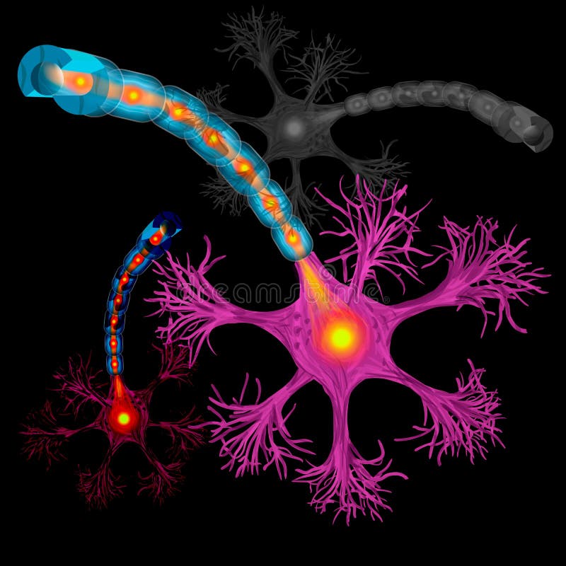 Neurona, axón de la célula nerviosa y sustancia de la envoltura de myelin que rodea el axón detallado