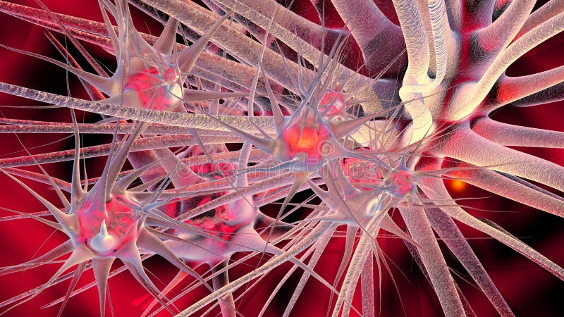 3D Illustration of neuronal cells. 3D Illustration of neuronal cells.