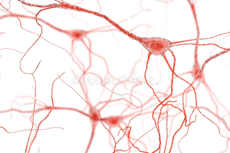 Neuroncell, Neurons på vit bakgrund royaltyfri illustrationer Neuroncell, Neurons på vit bakgrund royaltyfri illustrationer