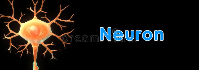 Download Neurone illustration stock. Illustration du humain, neural - 45367310