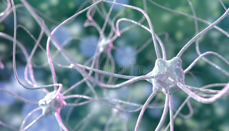 Neurone, rete neurale, nodo del nervo, fotografia stock Neurone, rete neurale, nodo del nervo, fotografia stock