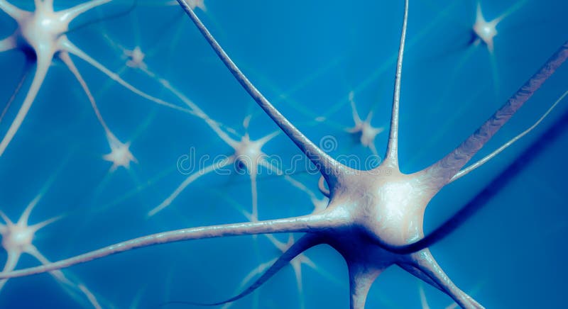 Neuronen im Gehirn, Illustration 3D des neuralen Netzes stockfotografie Neuronen im Gehirn, Illustration 3D des neuralen Netzes stockfotografie